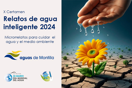 Imagen del cartel del certamen.