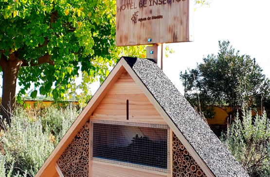 El hotel de insecto colocado para promover la biodivesidad de la planta.